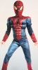Kids Costumes to Hire - Spiderman Muscle Suit- 5 Years